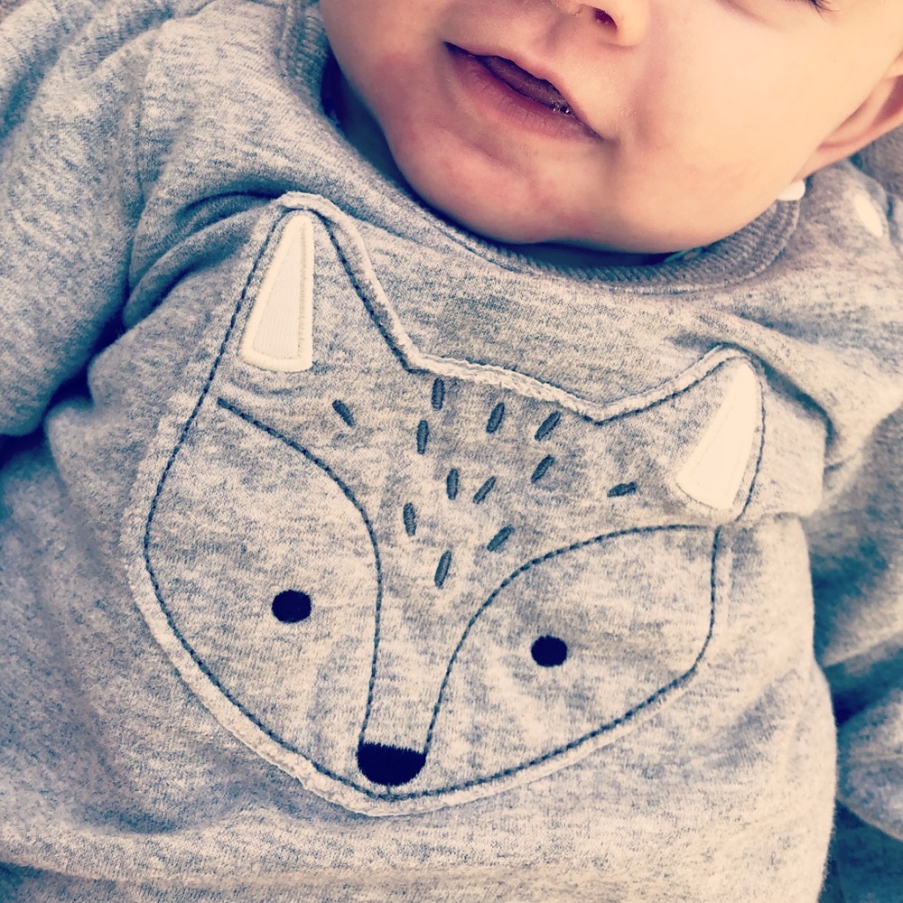 Fox sweater